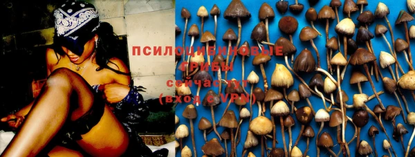 хмурый Алексеевка