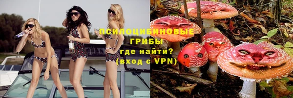 хмурый Алексеевка