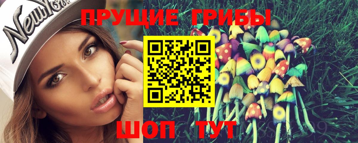 Псилоцибиновые грибы Cubensis Черкесск