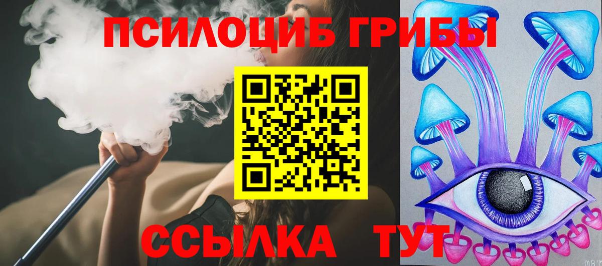 Черкесск  Галлюциногенные грибы ЛСД  Вход с VPN  Псилоцибиновые грибы прущие грибы 
