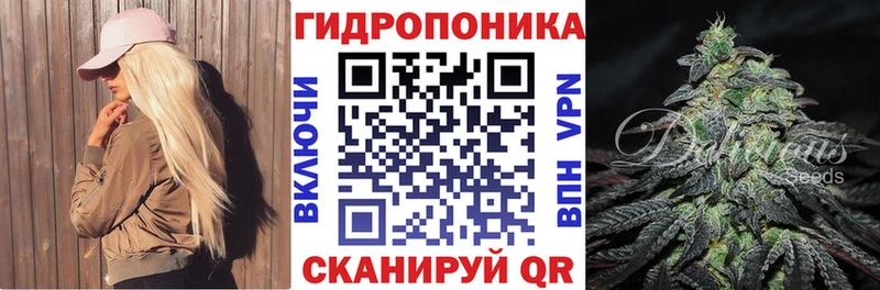Бошки Шишки AK-47  Черкесск 